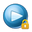 Any Video Encryptor