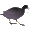 WinCoot