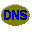 DNSDataView