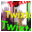 Twixtor