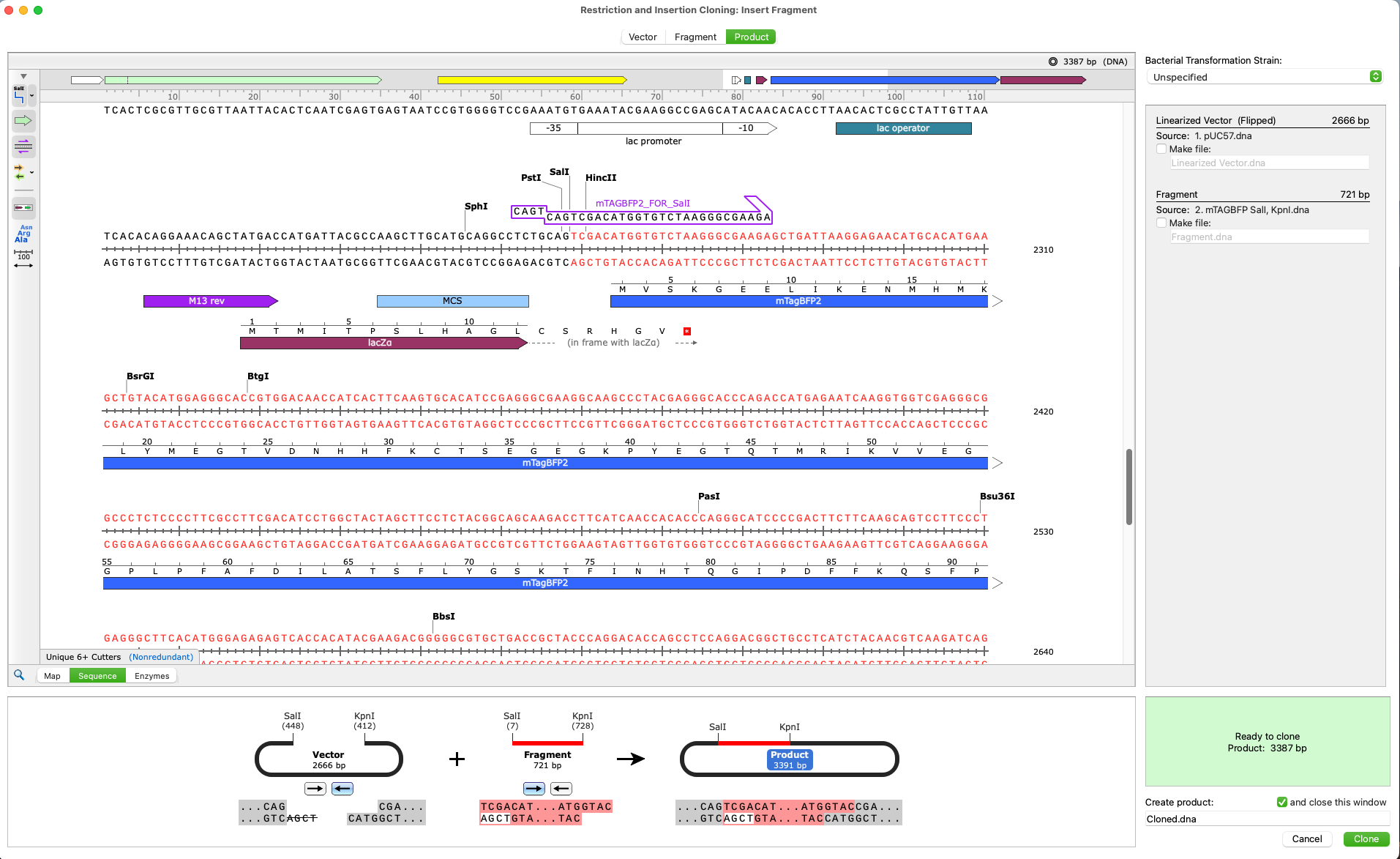 SnapGene