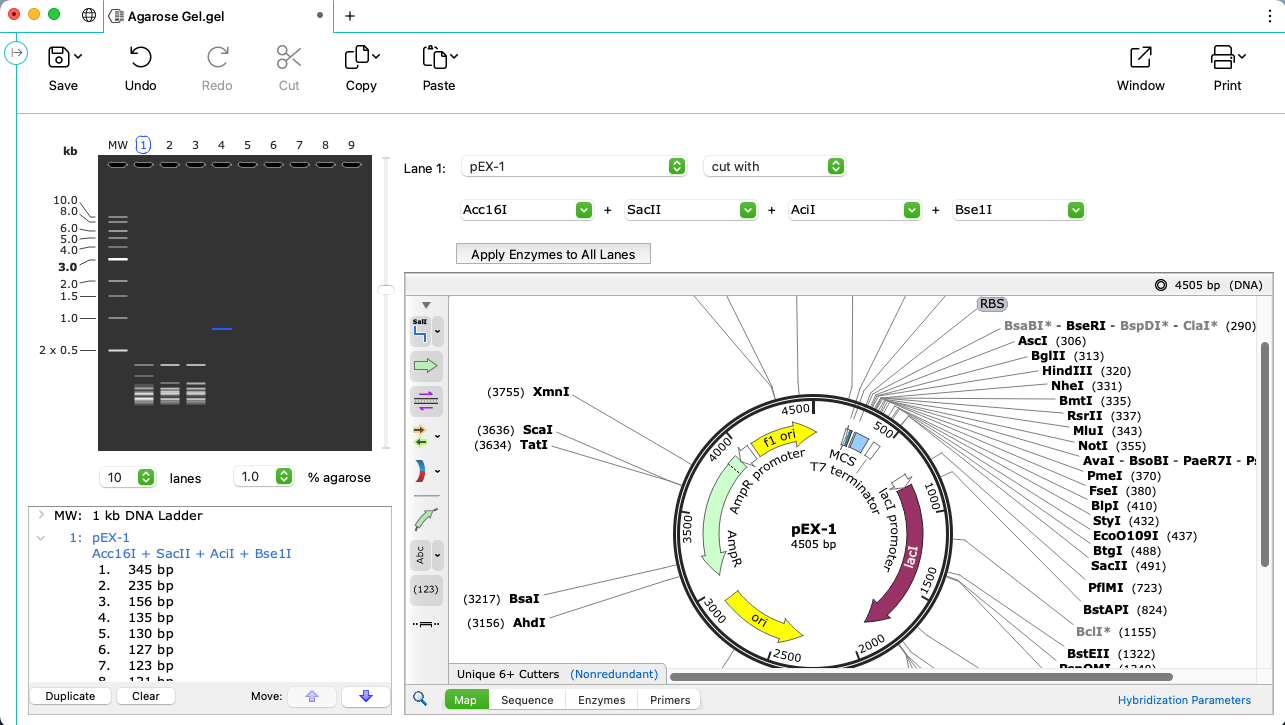 SnapGene